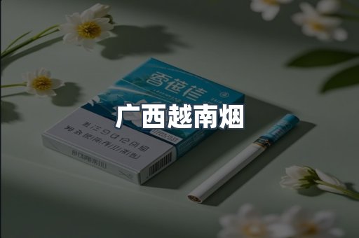 越南香烟系列